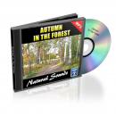 Autumn In The Forest - Relaxation Music and Sounds: Natural Sounds Collection Volume 1, Empowered Living
