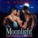 In The Moonlight: MMF Bisexual Romance Audiobook