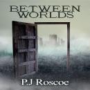 Between Worlds Audiobook