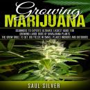 Marijuana : Growing Marijuana: Beginners To Experts Ultimate Easiest Guide For Growing Large Buds Of Marijuana Plants.The Grow Bible To Get Big Yields In Small Places Indoors And Outdoors