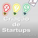 Criar Startups Audiobook