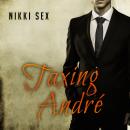 Taxing Andre Audiobook