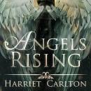 Angels Rising Audiobook