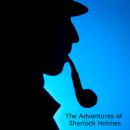 The Adventures of Sherlock Holmes Audiobook