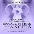 My Radical Encounters with Angels: Meeting Angels, Witches, Demons, Satan, Jesus and More Audiobook