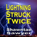 Lightning Struck Twice Audiobook