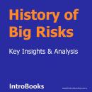 History of Big Risks Audiobook