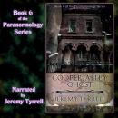 Cooper Alley Ghost Audiobook