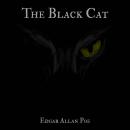 The Black Cat Audiobook