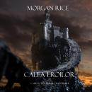 Calea Eroilor (Cartea 1 Din  Inelul Vr?jitorului) Audiobook