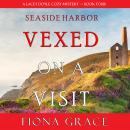 Vexed on a Visit (A Lacey Doyle Cozy Mystery—Book 4) Audiobook