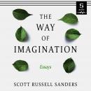 The Way of Imagination Audiobook