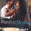A Marvelous Monday Audiobook