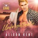 Unforgettable Audiobook