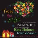 Twas the Night Audiobook
