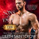 Sons of Ymre: Erik Audiobook