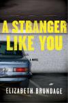 A Stranger Like You: A Novel Audiobook