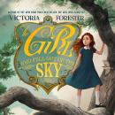 The Girl Who Fell Out of the Sky Audiobook