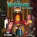 The Winterhouse Mysteries Audiobook