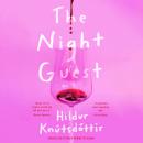 The Night Guest Audiobook