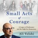 Small Acts of Courage: A Legacy of Endurance and the Fight for Democracy Audiobook