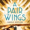 A Pair of Wings: A Novel Audiobook