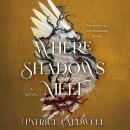 Cover of Where Shadows Meet: A Novel