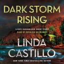 Dark Storm Rising Audiobook