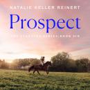 Prospect: A Novel Audiobook