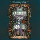 A Curious Kind of Magic Audiobook