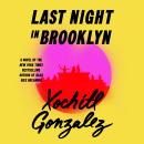 Cover of Last Night in Brooklyn: A Novel