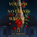 Cover of You Did Nothing Wrong: A Novel