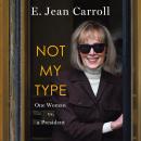 Not My Type: One Woman vs. a President Audiobook