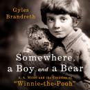 Cover of Somewhere, a Boy and a Bear: A. A. Milne and the Creation of 'Winnie-the-Pooh'