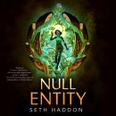 Null Entity Audiobook