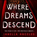 Where Dreams Descend: A Novel Audiobook