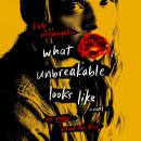 What Unbreakable Looks Like: A Novel, Kate Mclaughlin