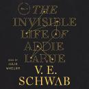Invisible Life of Addie LaRue, V. E. Schwab