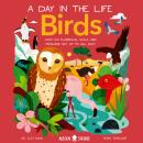 Birds (A Day in the Life): What Do Flamingos, Owls, and Penguins Get Up To All Day?