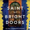 The Saint of Bright Doors Audiobook
