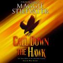 Call Down the Hawk, Maggie Stiefvater