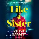 Like A Sister Audiobook