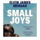 Small Joys: A Buzzfeed 'Amazing New Book You Need to Read ASAP' Audiobook