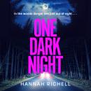 One Dark Night: the stunning new thriller from the Richard and Judy book club author of The Search P Audiobook