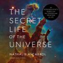 The Secret Life of the Universe: An Astrobiologist's Search for the Origins and Frontiers of Life Audiobook