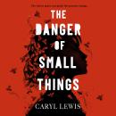 The Danger of Small Things: The YA debut from an award-winning and bestselling Welsh storyteller Audiobook