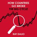 How Countries Go Broke: Principles for Navigating the Big Debt Cycle, Where We Are Headed, and What  Audiobook