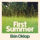 First Summer Audiobook