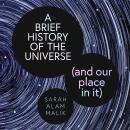 A Brief History of the Universe (and our place in it) Audiobook