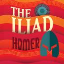 The Iliad Audiobook